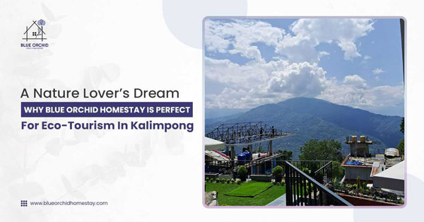 A Nature Lover's Dream: Why Blue Orchid Homestay Is Perfect for Eco-Tourism in Kalimpong